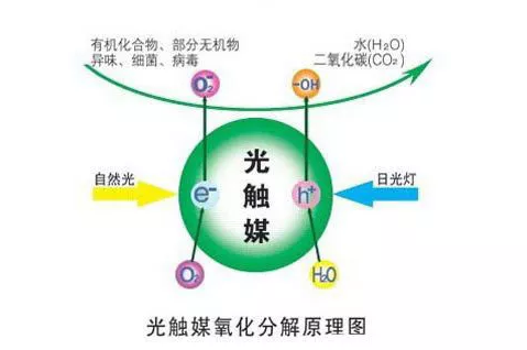 光觸媒能除甲醛嗎？