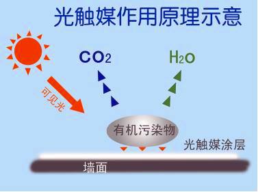 新房除甲醛需要注意哪些？都有哪些有效去除的方法？